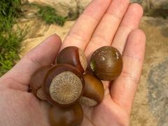 -天津盘山风景名胜区