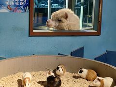 -常州海昌海洋探索馆