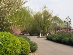 -永定河休闲森林公园