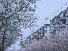 -永乐路-路侧停车场