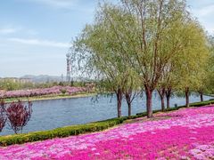 -羊亭河湿地公园