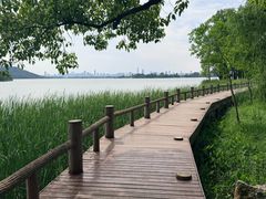 -东湖落雁景区