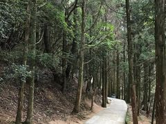 -井冈山风景名胜区-黄洋界