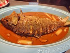 -阿五黄河大鲤鱼(建业路店)