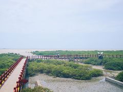 -北海金海湾红树林生态旅游区