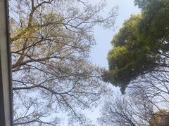 -老门东历史文化街区