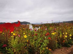 -天女山森林公园