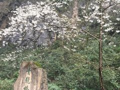 -武隆天坑地缝国家地质公园