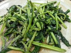 炒板蓝根-云上千禾(水上店)