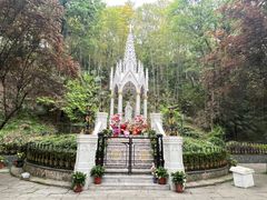 -上海佘山国家森林公园西佘山园