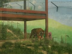 -栾川竹海野生动物园