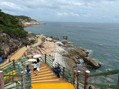 -广东惠东海龟国家级自然保护区