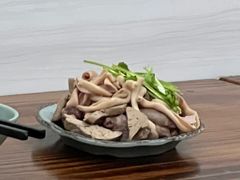 -九斤黄三黄鸡专卖店