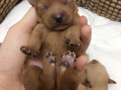 -广州花园酒店·凌璇阁旋转餐厅CAROUSEL360