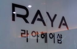 -RAYA韩国造型