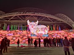 -沈阳奥体冰雪嘉年华