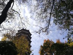 -灵谷景区