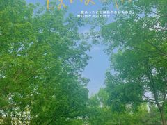 -北宫国家森林公园
