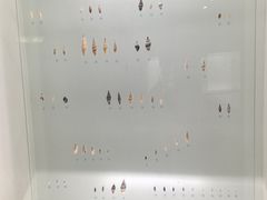 -青岛贝壳博物馆