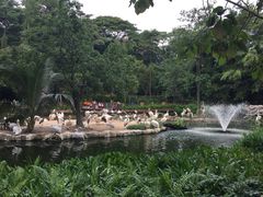 iphone_upload_pic-新加坡飞禽公园