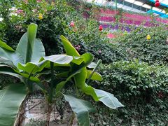 -第五季龙水凤港生态露营农场