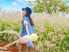 -佛山京华广场MALL