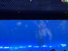 -华夏文旅海洋公园