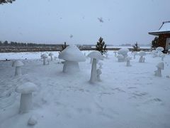 -北极村旅游风景区