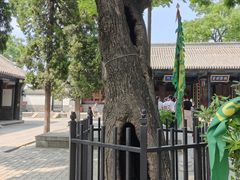 -保定直隶总督署博物馆