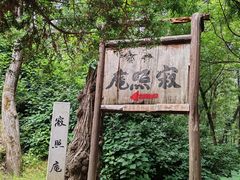 -寂照庵