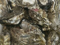 莱州人做的正宗莱州湾海鲜-三乐海鲜水饺馆