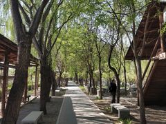 -河北村民俗体验园