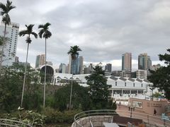 -九龙公园
