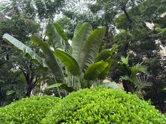 -西双版纳融创皇冠假日度假酒店