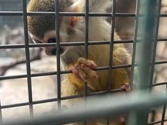 -泉州海丝野生动物世界