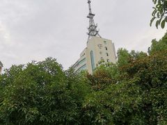 -三峡梯城