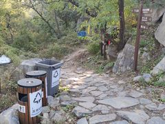 -阳台山自然风景区