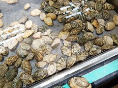 -华联商厦(火车站店)