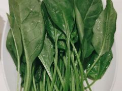 -蒙都43°9羊火锅·赤峰美食(宁城店)