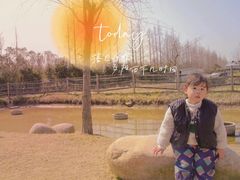 -前小桔亲子创意农场·草莓采摘·露营烧烤