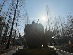 -东平国家森林公园