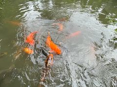 -成都杜甫草堂博物馆