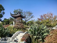 -上海滨江森林公园