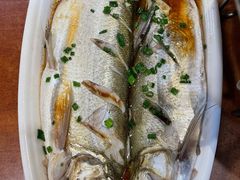 清蒸鲜白鱼-西新饭店(城中店)