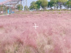 -上海杨姆庄园