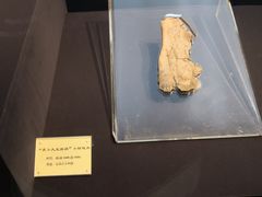-安阳博物馆