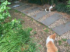 -苏州河梦清园环保主题公园