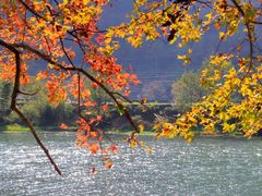 -楠溪江风景名胜区