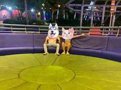 -三亚海昌梦幻海洋不夜城