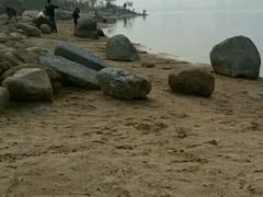 -瑶湖郊野森林公园